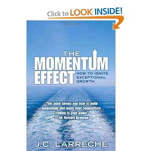 Momentum Effect (Used) Price: Rp 150.000